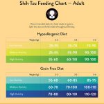 8 Week Old Shih Tzu Feeding Schedule